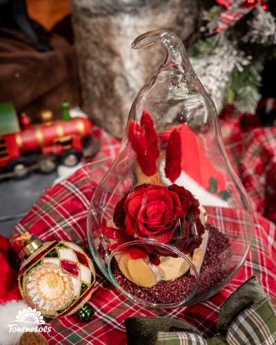 Rose éternelle sous cloche en verre sur fond de Noël.